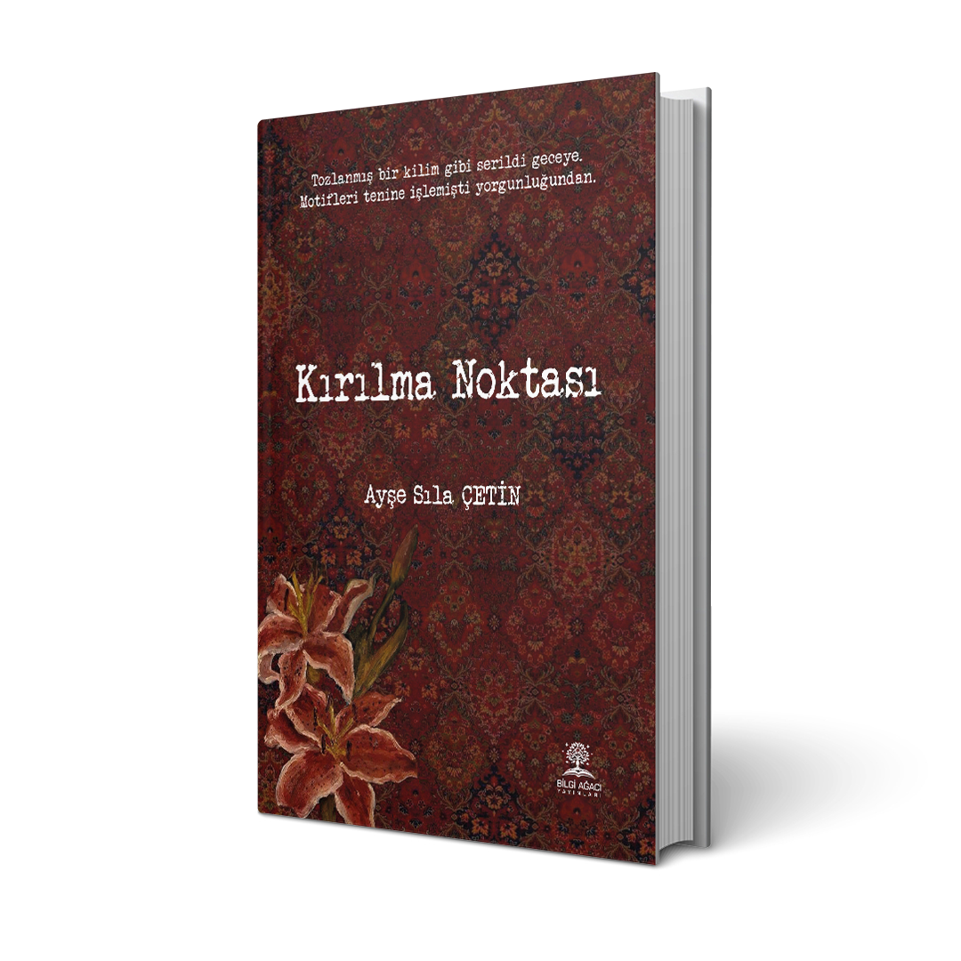 Kırılma Noktası / Ayşe Sıla Çetin