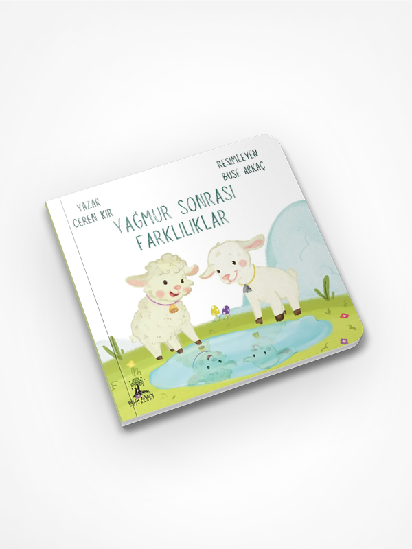 Yağmur Sonrası Farklılıklar / Ceren Kır