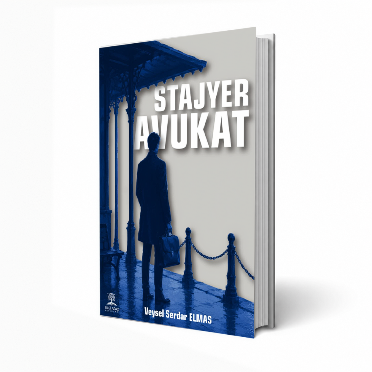 Stajyer Avukat / Veysel Elmas