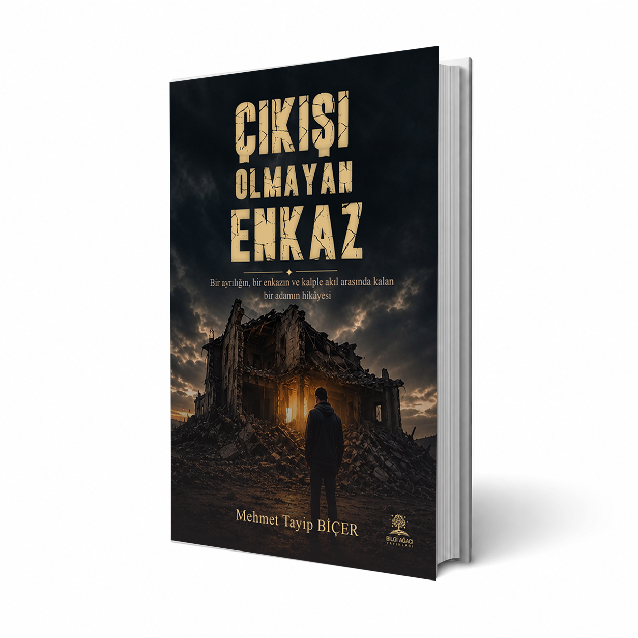 Çıkışı Olmayan Enkaz / Mehmet Tayip Biçer